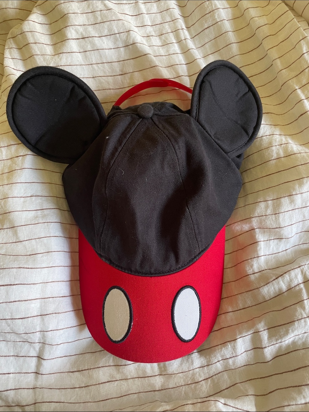 Mickey Ears Snap Back Hat